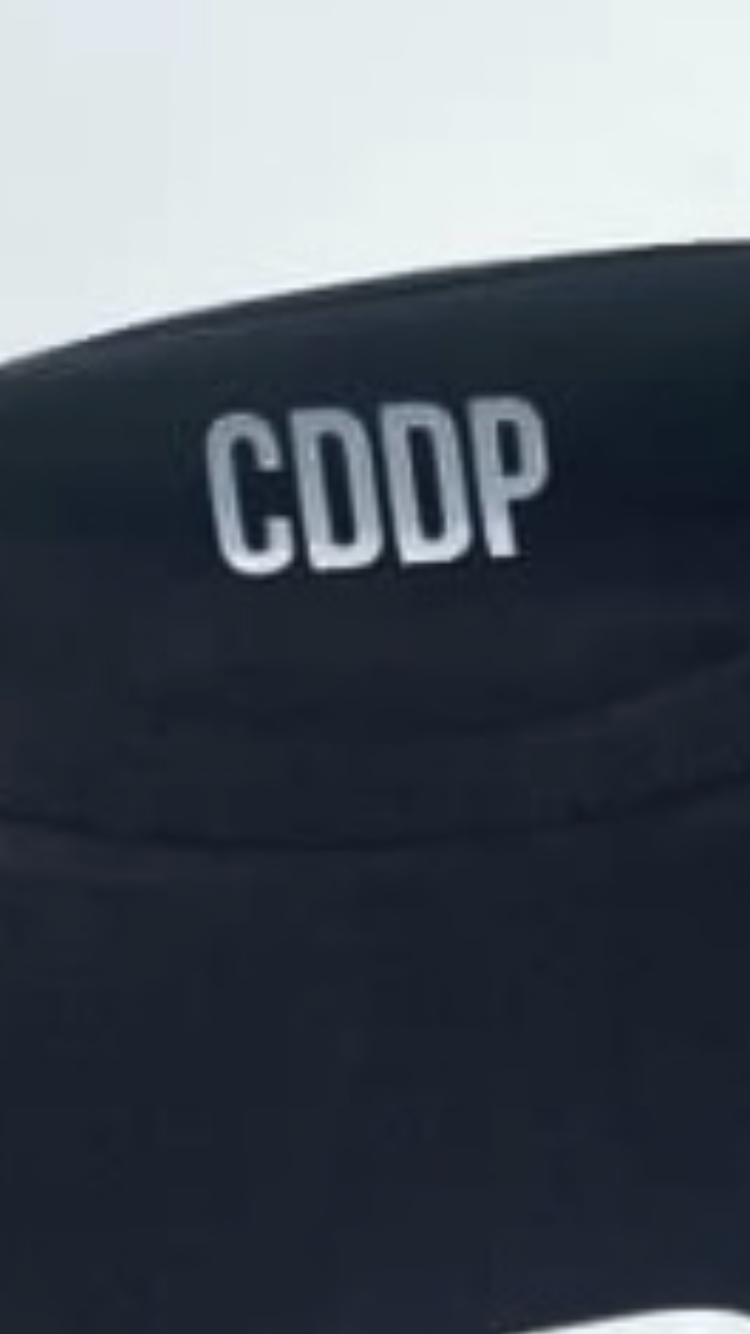 CDDP Logo printed hoodies